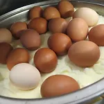 Seeglück Forelle Superior 4*