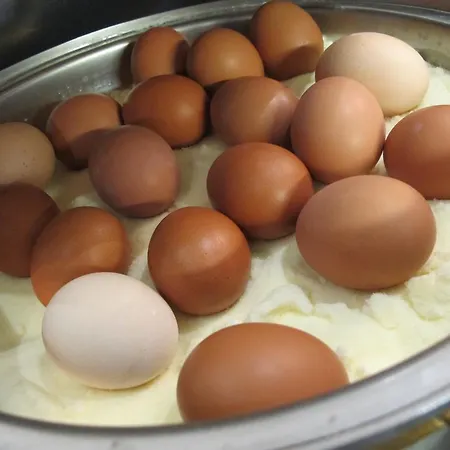 Seeglueck Forelle Superior 4*