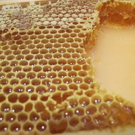 Seeglueck Forelle Superior 4* Millstatt