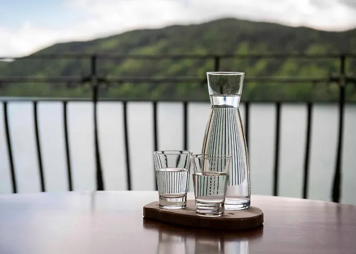 Forelle Hotel Millstatt