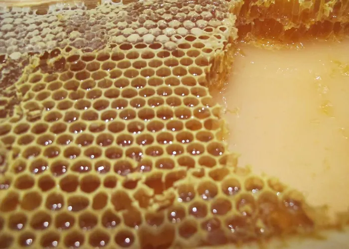 Seeglueck Forelle Superior 4* Millstatt